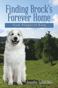 bokomslag Finding Brock's Forever Home: from Pauper to King