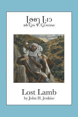 bokomslag Lost Lamb