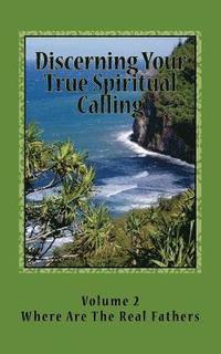 bokomslag Discerning Your True Spiritual Calling Volune #2: Awakening the God within