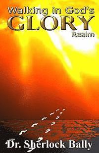 bokomslag Walking In God's Glory Realm