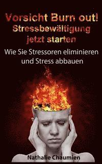 bokomslag Vorsicht Burn out! Stressbewaeltigung jetzt starten: Wie Sie Stressoren eliminieren und Stress abbauen