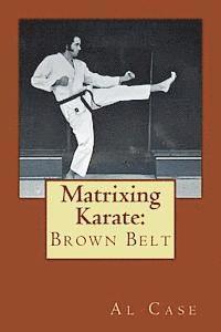 bokomslag Matrixing Karate: Brown Belt