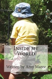 bokomslag Inside My World