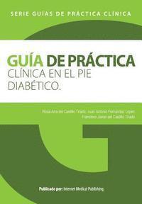bokomslag Guia de practica clinica en el pie diabetico
