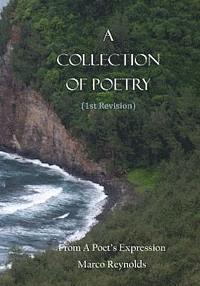 bokomslag A Collection of Poetry (1st Revision): From A Poet's Expression