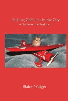 bokomslag Raising Chickens in the City: A Guide for the Beginner