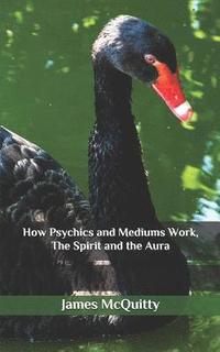 bokomslag How Psychics and Mediums Work, The Spirit and the Aura