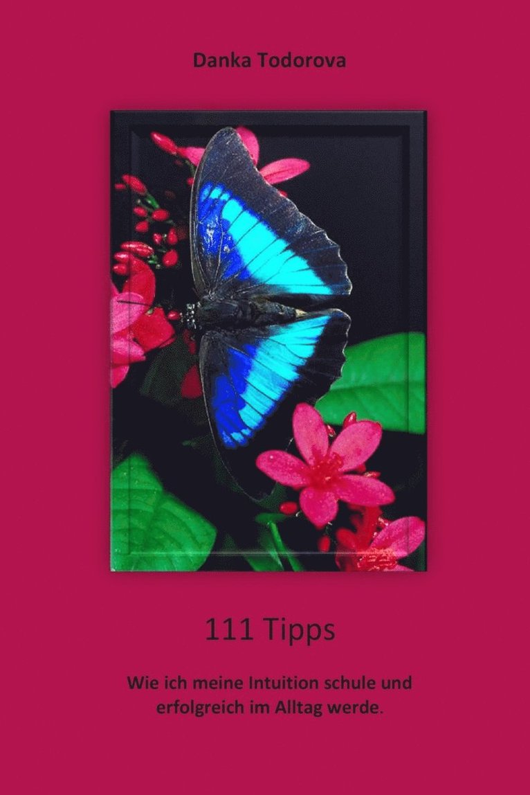 111 Tipps 1