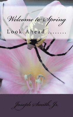 Welcome to Spring: Look Ahead ........ 1