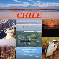 bokomslag Dear Chile