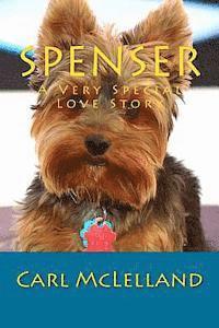 bokomslag Spenser: A Very Special Love Story