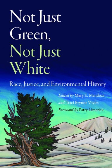 Mary E. Mendoza, Traci Brynne Voyles - Not Just Green, not Just White, Inbunden