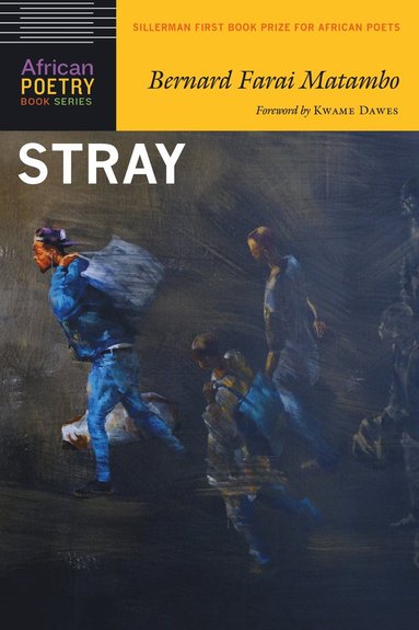 Bernard Farai Matambo - Stray, Häftad