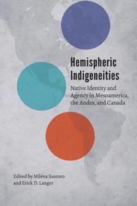 bokomslag Hemispheric Indigeneities