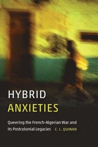 bokomslag Hybrid Anxieties