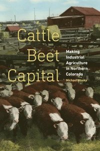 bokomslag Cattle Beet Capital