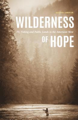 bokomslag Wilderness of Hope