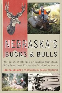 bokomslag Nebraska's Bucks and Bulls