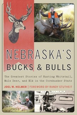 Nebraska's Bucks and Bulls 1
