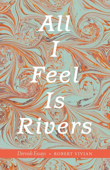 Robert Vivian - All I Feel Is Rivers, Häftad
