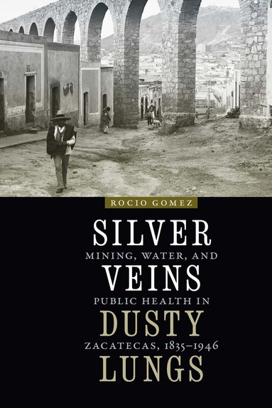 bokomslag Silver Veins, Dusty Lungs