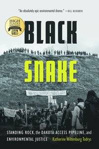 bokomslag Black Snake