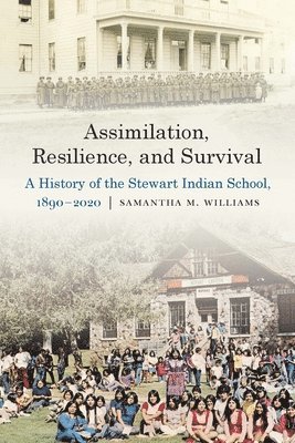 bokomslag Assimilation, Resilience, and Survival