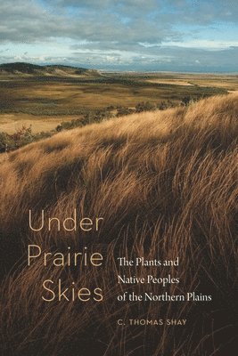 Under Prairie Skies 1