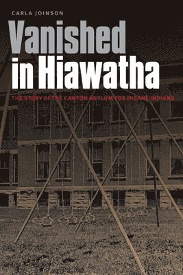 bokomslag Vanished in Hiawatha