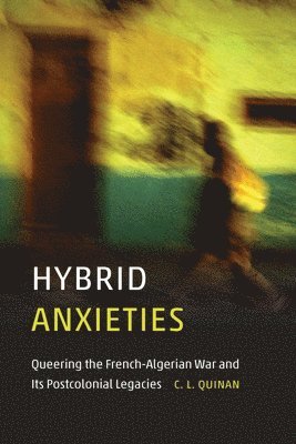 bokomslag Hybrid Anxieties