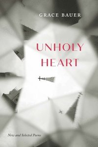 bokomslag Unholy Heart