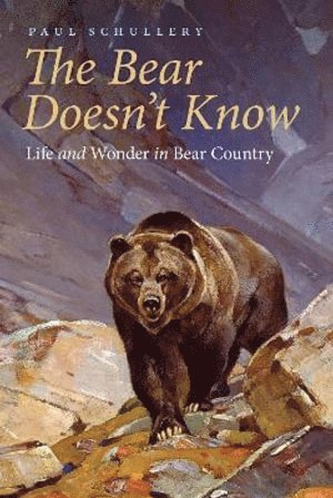 bokomslag Bear Doesn't Know