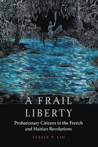 bokomslag A Frail Liberty