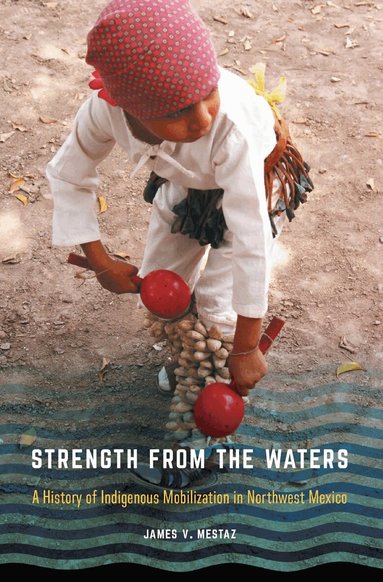 James V. Mestaz - Strength from the Waters, Inbunden