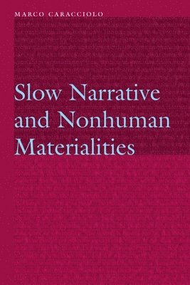 bokomslag Slow Narrative and Nonhuman Materialities