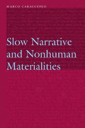 Slow Narrative and Nonhuman Materialities 1