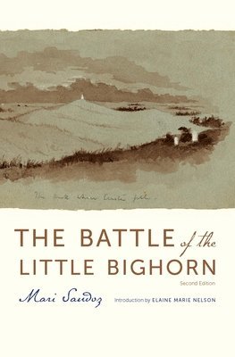 The Battle of the Little Bighorn 1