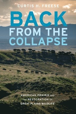 Curtis H. Freese, Curtis H Freese - Back from the Collapse, Häftad