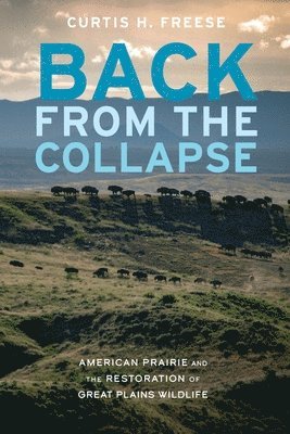 Back from the Collapse 1