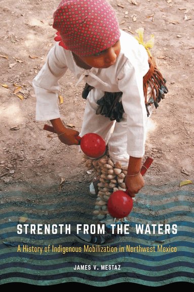 James V. Mestaz - Strength from the Waters, Häftad
