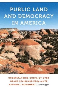 bokomslag Public Land and Democracy in America