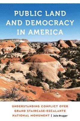 bokomslag Public Land and Democracy in America