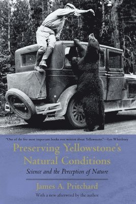 Preserving Yellowstone's Natural Conditions 1