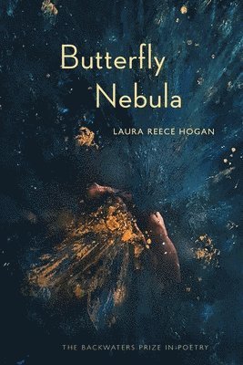 bokomslag Butterfly Nebula