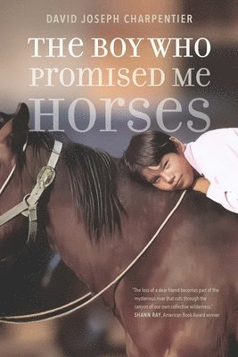 bokomslag The Boy Who Promised Me Horses