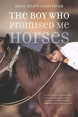 The Boy Who Promised Me Horses 1