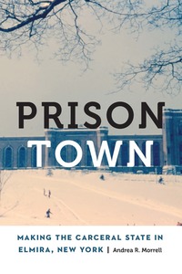 bokomslag Prison Town