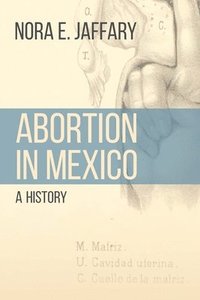 bokomslag Abortion in Mexico