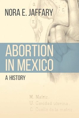 Nora E. Jaffary, Nora E Jaffary - Abortion in Mexico, Häftad