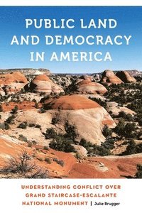 bokomslag Public Land and Democracy in America
